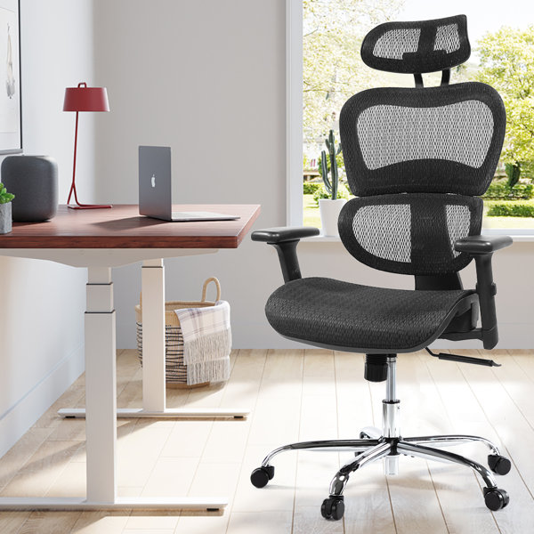 Office Chairs For Short People Wayfair.ca